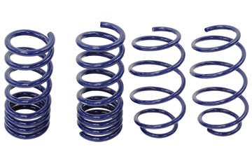 Steeda Mustang Sport Progressive Lowering Springs